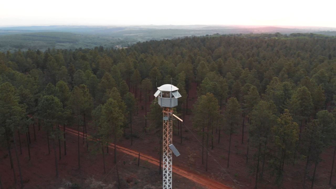fire observation tower in a forest in Brazil owned by Faber-Castell 