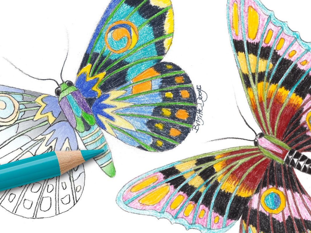 Colouring tutorial: How to draw a Butterfly