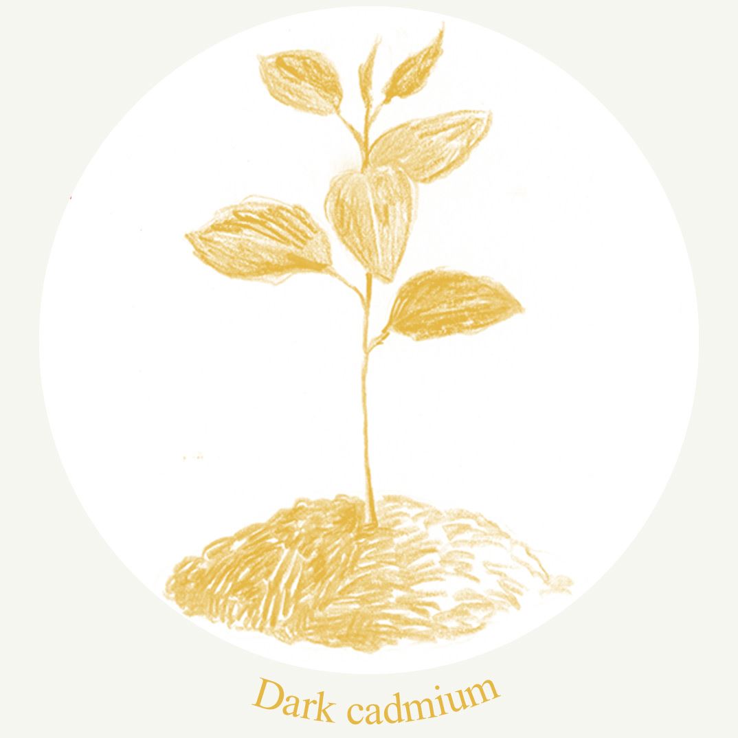 "dark cadmium" a little plant